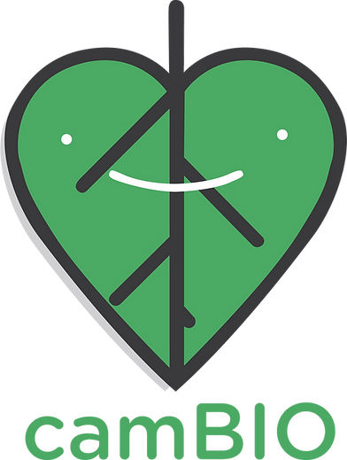 logo_original.png