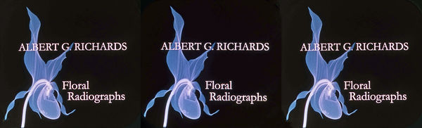 2020 Albert Richard scans001_P1_PAR.jpg