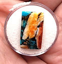 Turquoise Spiney Oyster 10 2 2.jpg