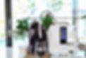 Kangen Water.jpg