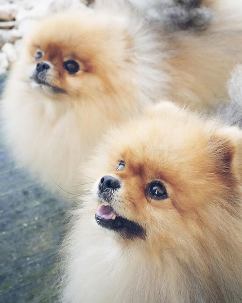 WhatsApp Image 2023-10-04 at 13.04.40.jpeg