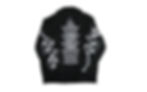 Photoroom_20251001_215008_edited.jpg