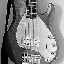 Stingray Bass_edited.jpg