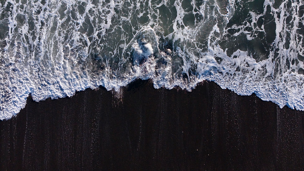 dji_fly_20250308_170630_0767_1741485131187_photo.jpg