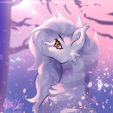 IMG_0622.png