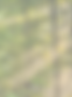 Moon Mama Branding.png