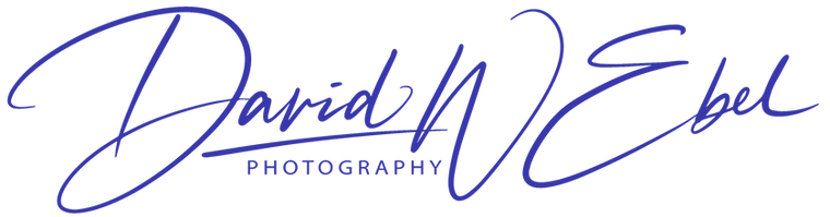 David-W-Ebel-b_edited.png
