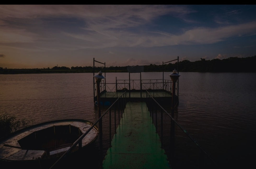 starling-river-resort-dandeli