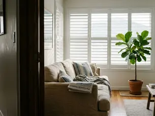 Louver Shutters Interior: Every Question Answered