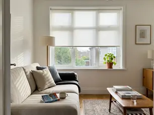 Alta Blinds: 8 Things Every Buyer Should Know