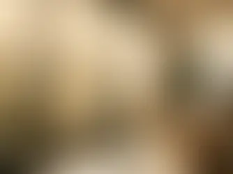 Alta Window Coverings: 8 Things Every Buyer Should Know