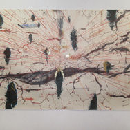 宇野Landscape of Atmosphere 2022_うのぜみ.jpg