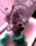 Thumbnail: 36. syncasync coral -Buddhist figure- #2