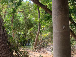 Pro bono Projekt 2O22