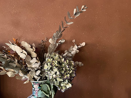 studio arkisto_saviseinä ja kuivakukat.jpg