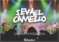 SE VA EL CAMELLO - FOTOGALERIA