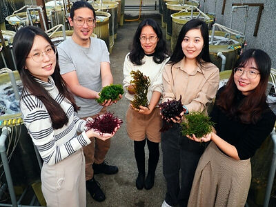 精心培育的海藻，不錯吧！