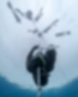 David FIM Descent_Freedive Fest 2024_Underwater.jpg