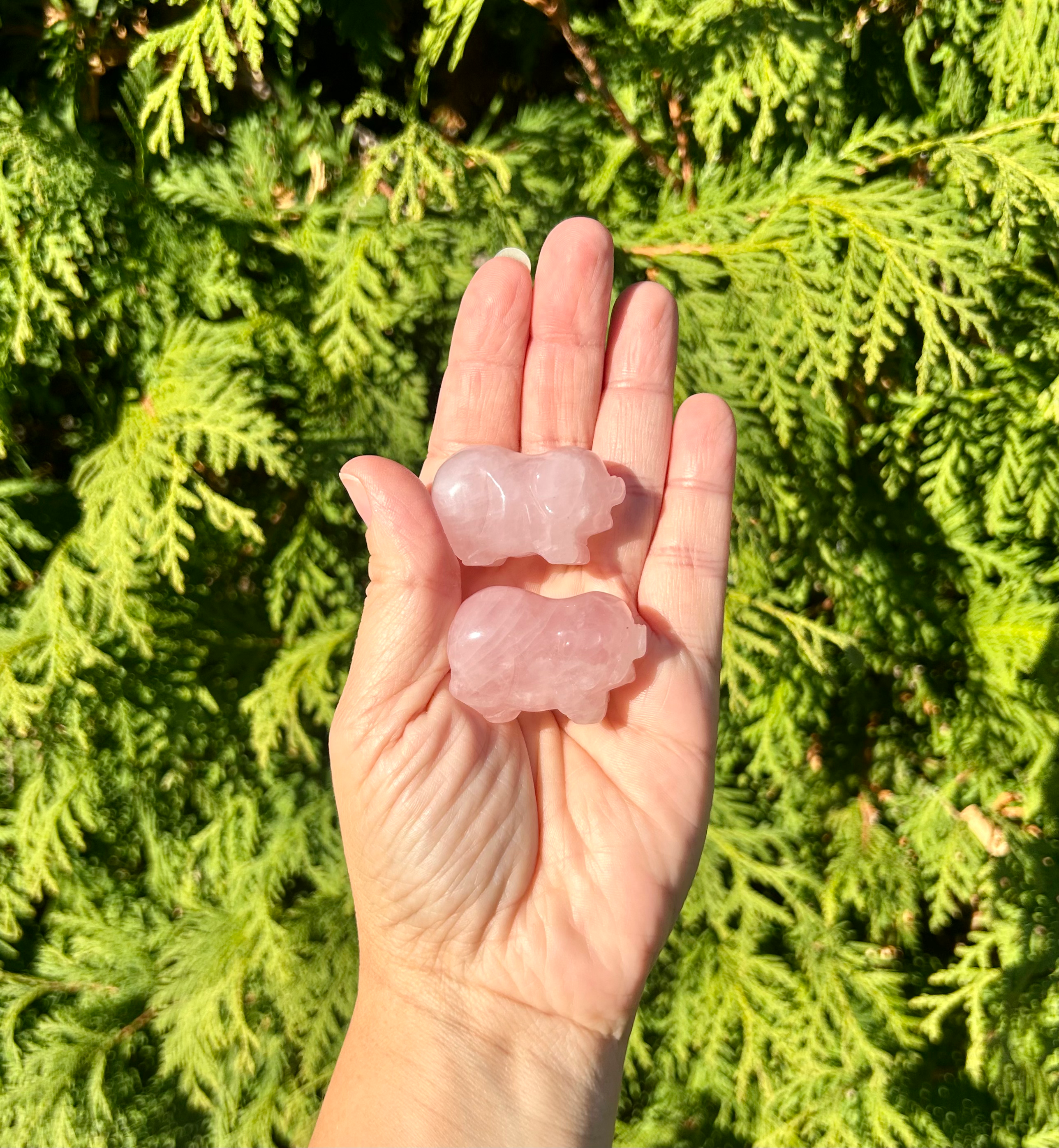 Natural rose quartz pig carving