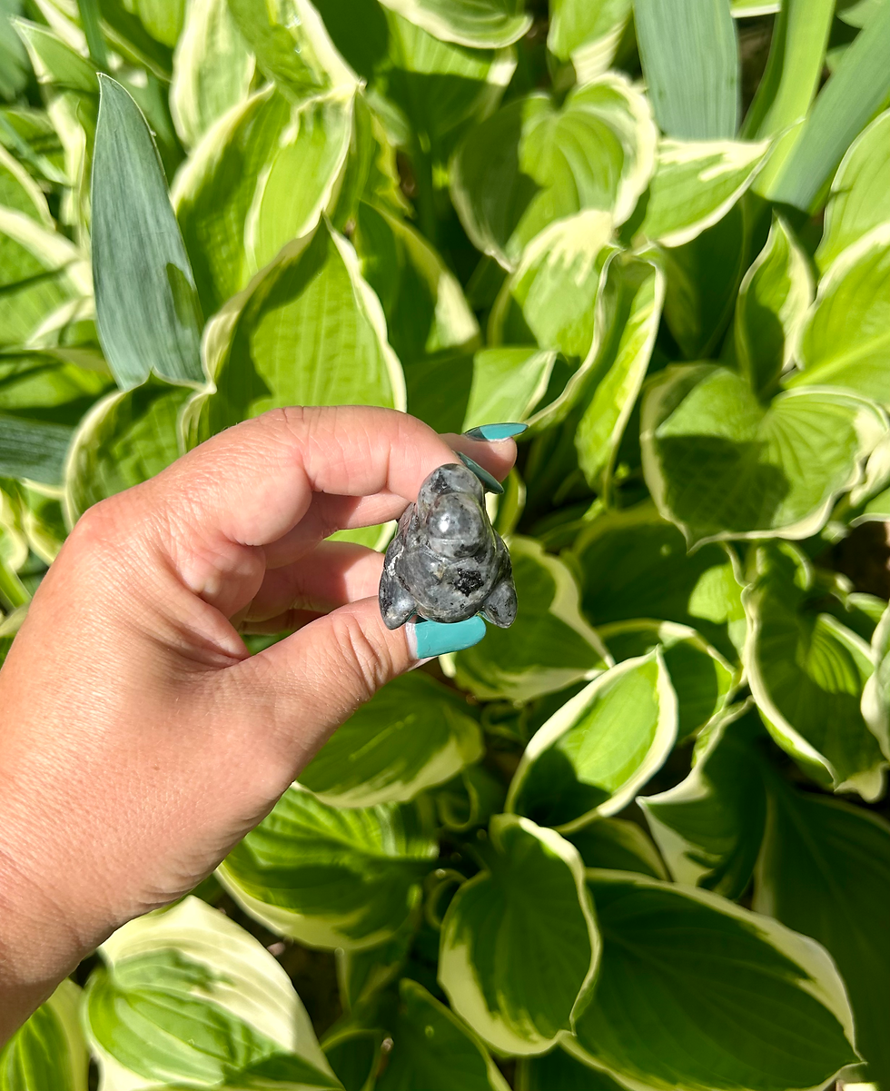 Thumbnail: Natural larvikite seal carving