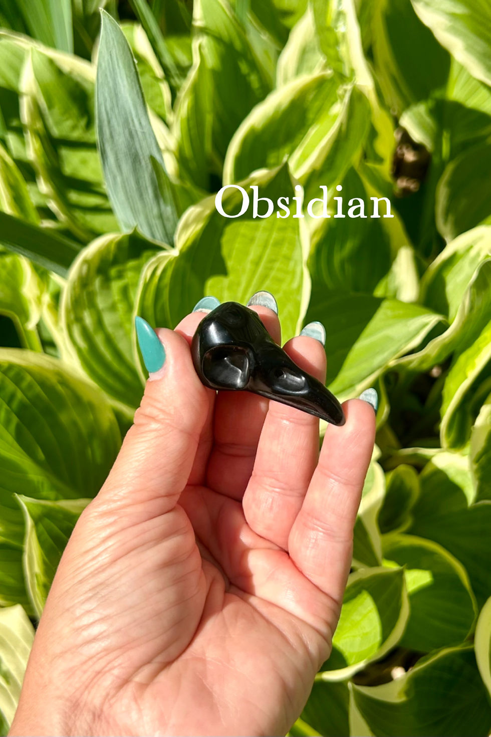 Thumbnail: Natural crystal bird skull