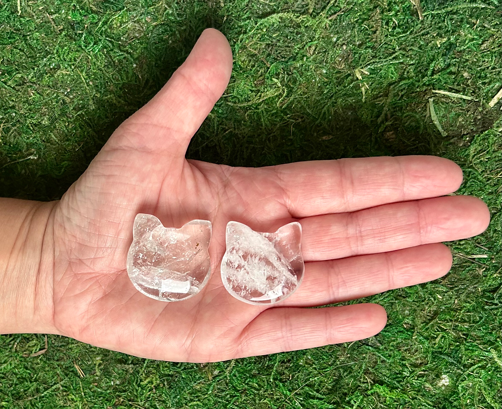 Thumbnail: Cat head carving-choose your style