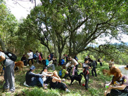 Sítio Vale da Colina