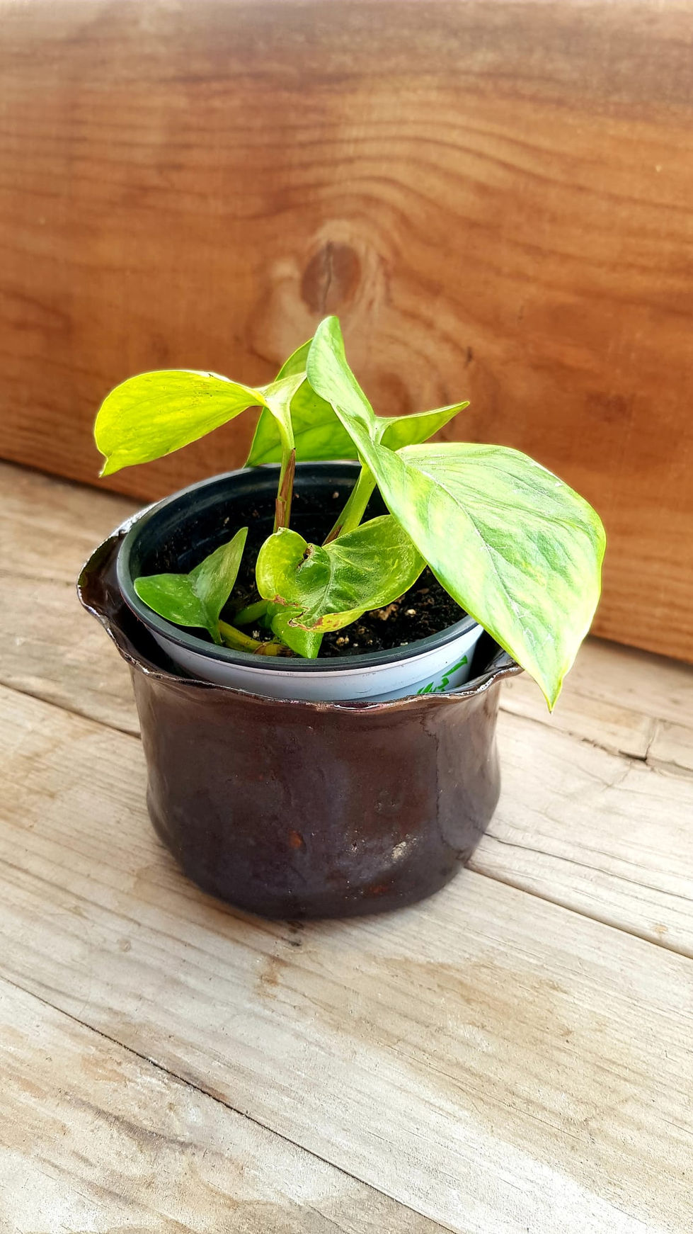 Imagen de WhatsApp 2025-04-26 a las 09.57.01_da7d53c5