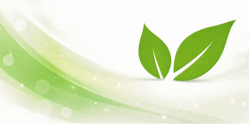 Banner 1_edited_edited.jpg