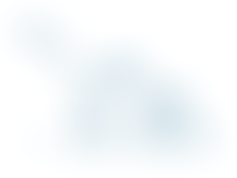 Why did I choose animaton?