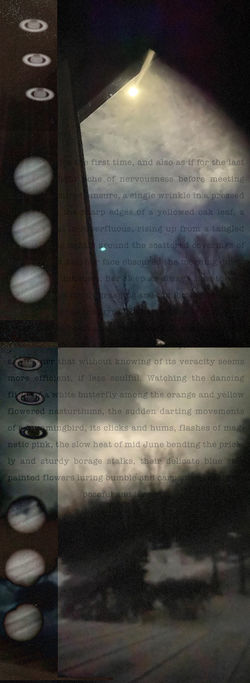 As If For The First Time