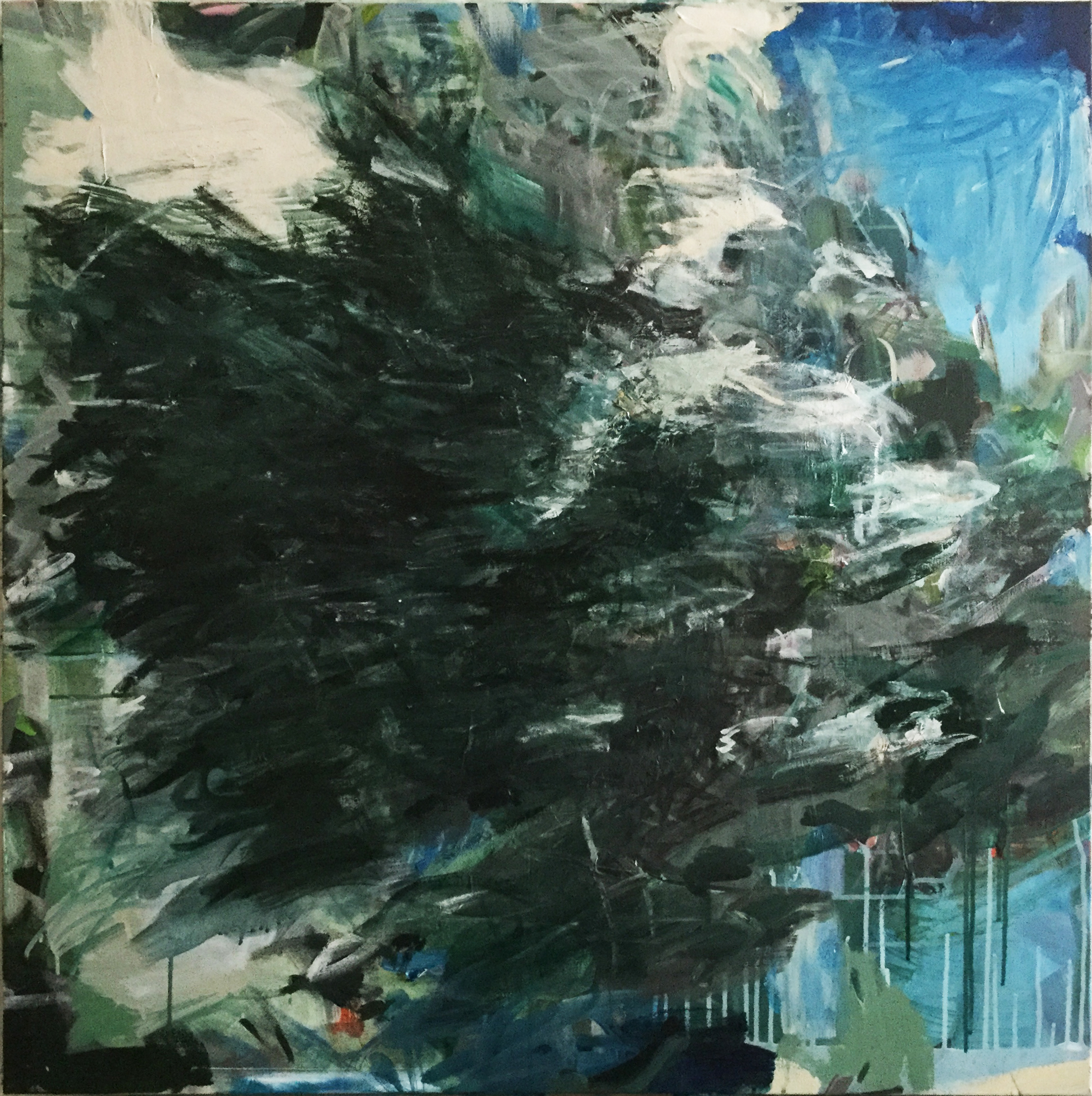 Light Kin Sky (8/16)