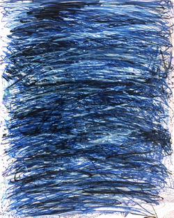 No Shelter (775 11/17)