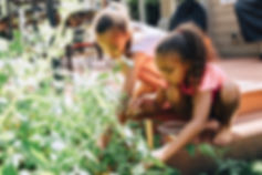 Girls Gardening.jpeg