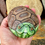 Thumbnail: Hand holding a rock painted like a turtle with green head and brown shell