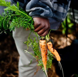 Empowering Oregon’s Black Farmers