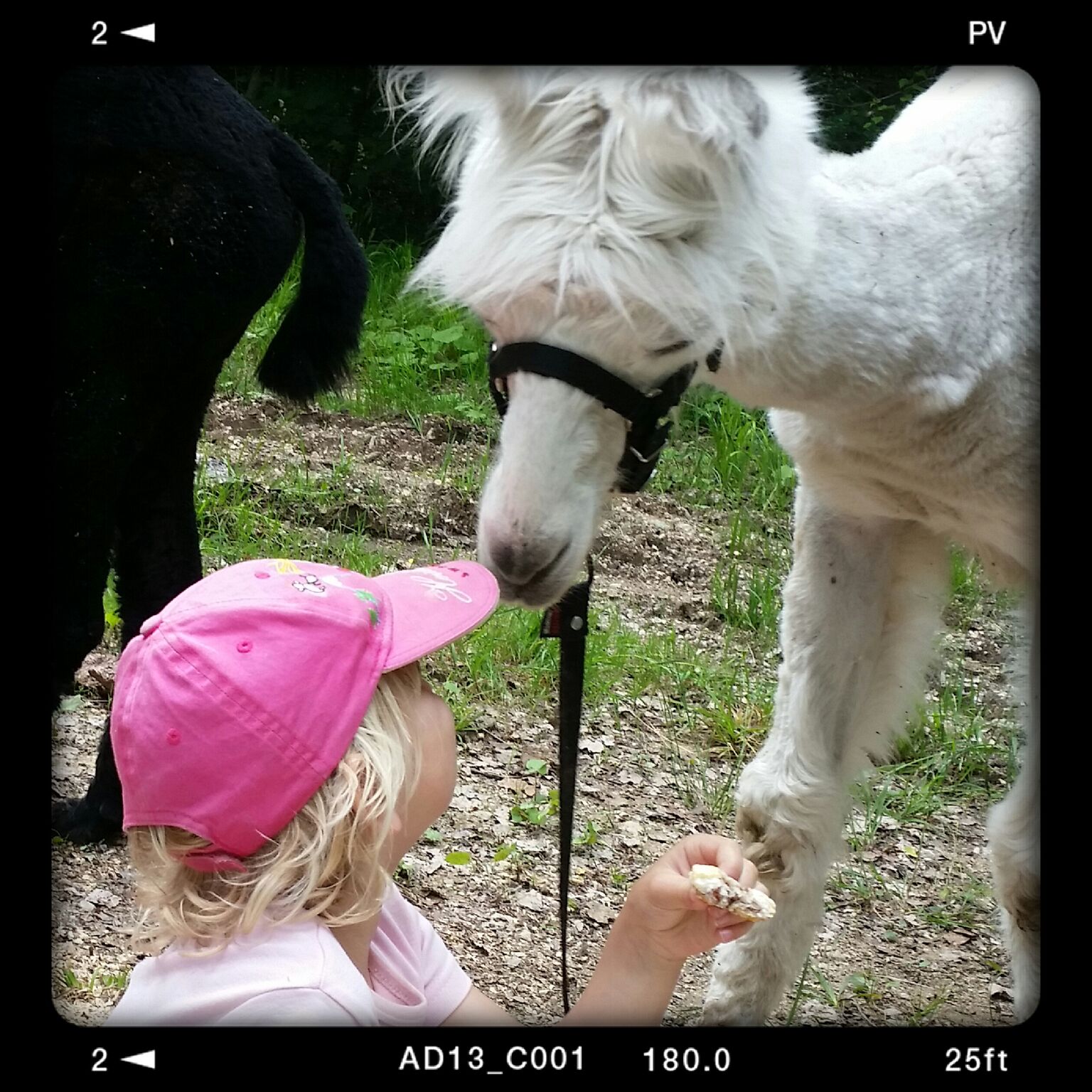 Regards complices