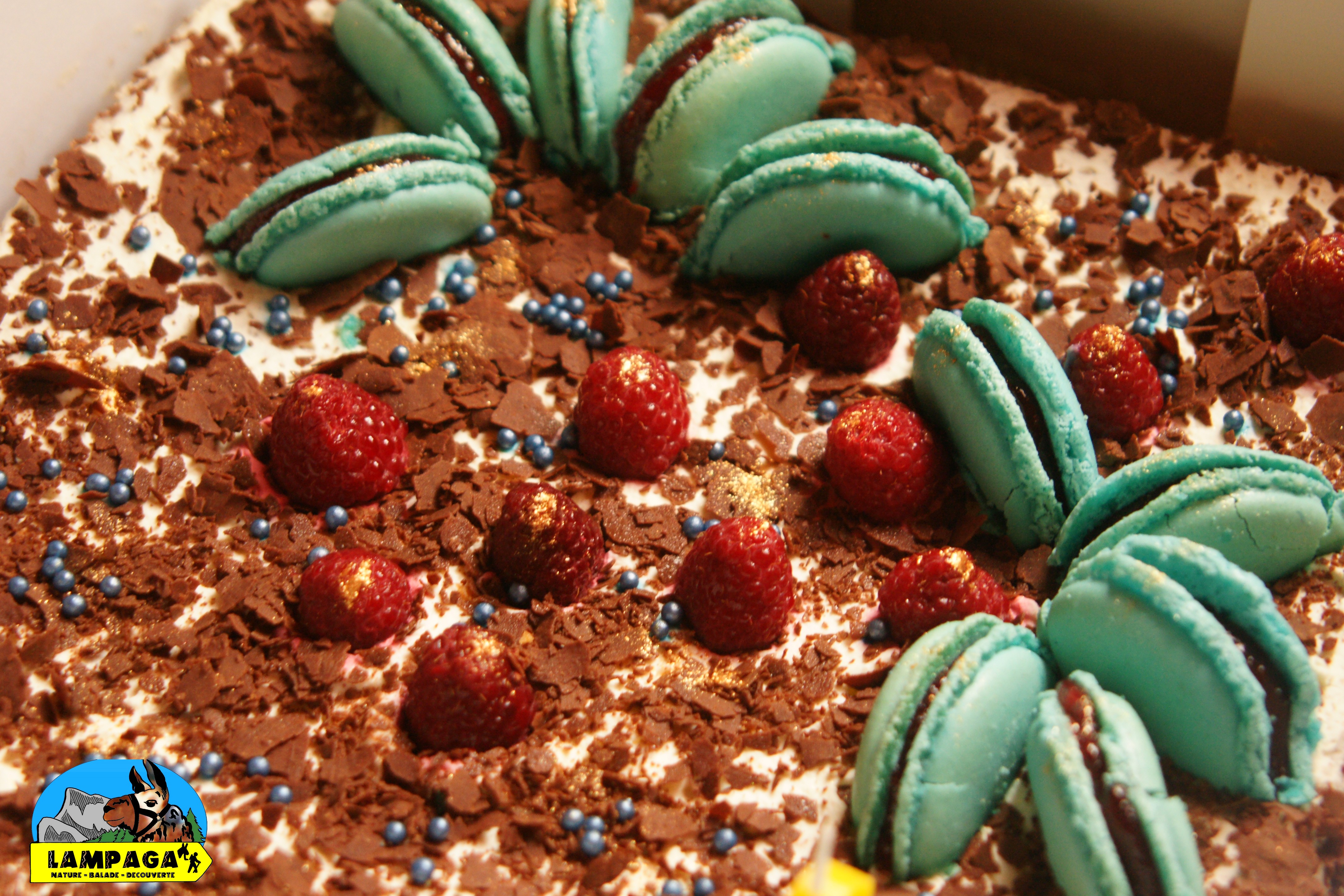 les gâteau de Babou macaron