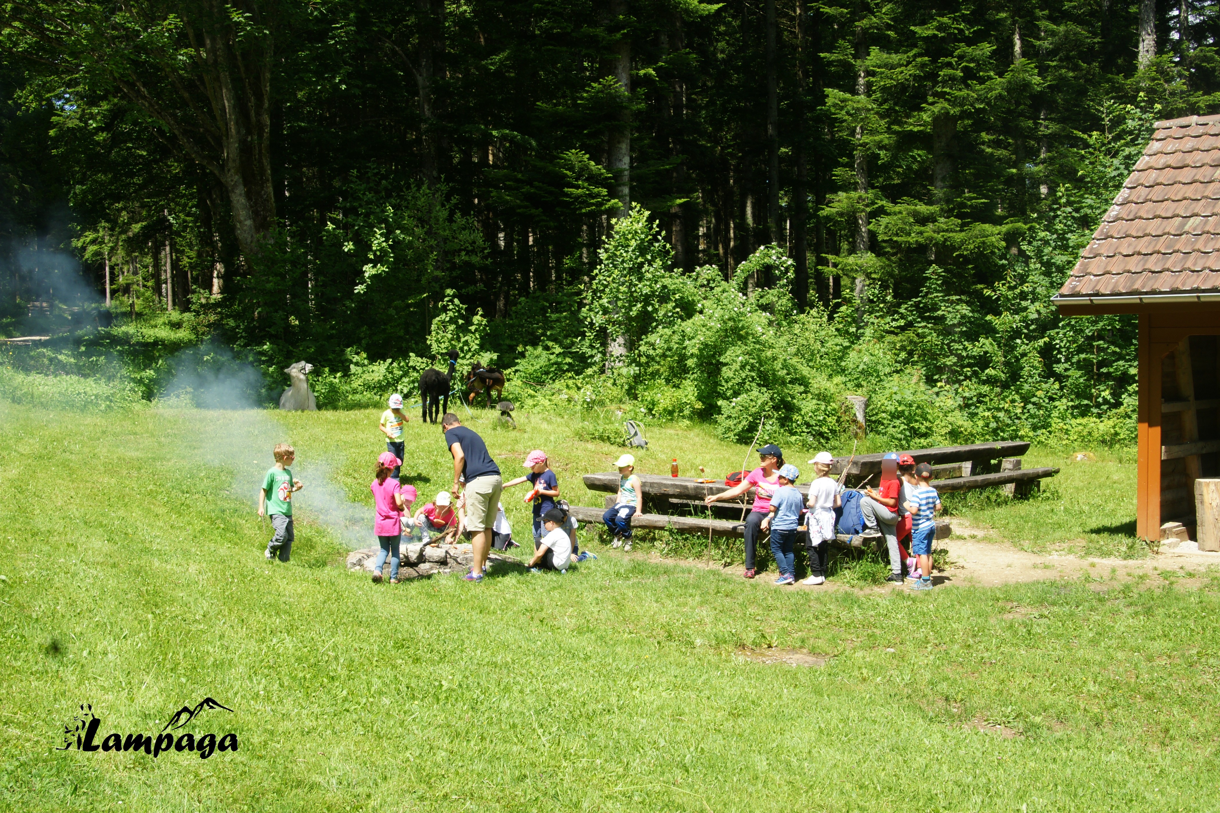 Pause dans le refuge forestier