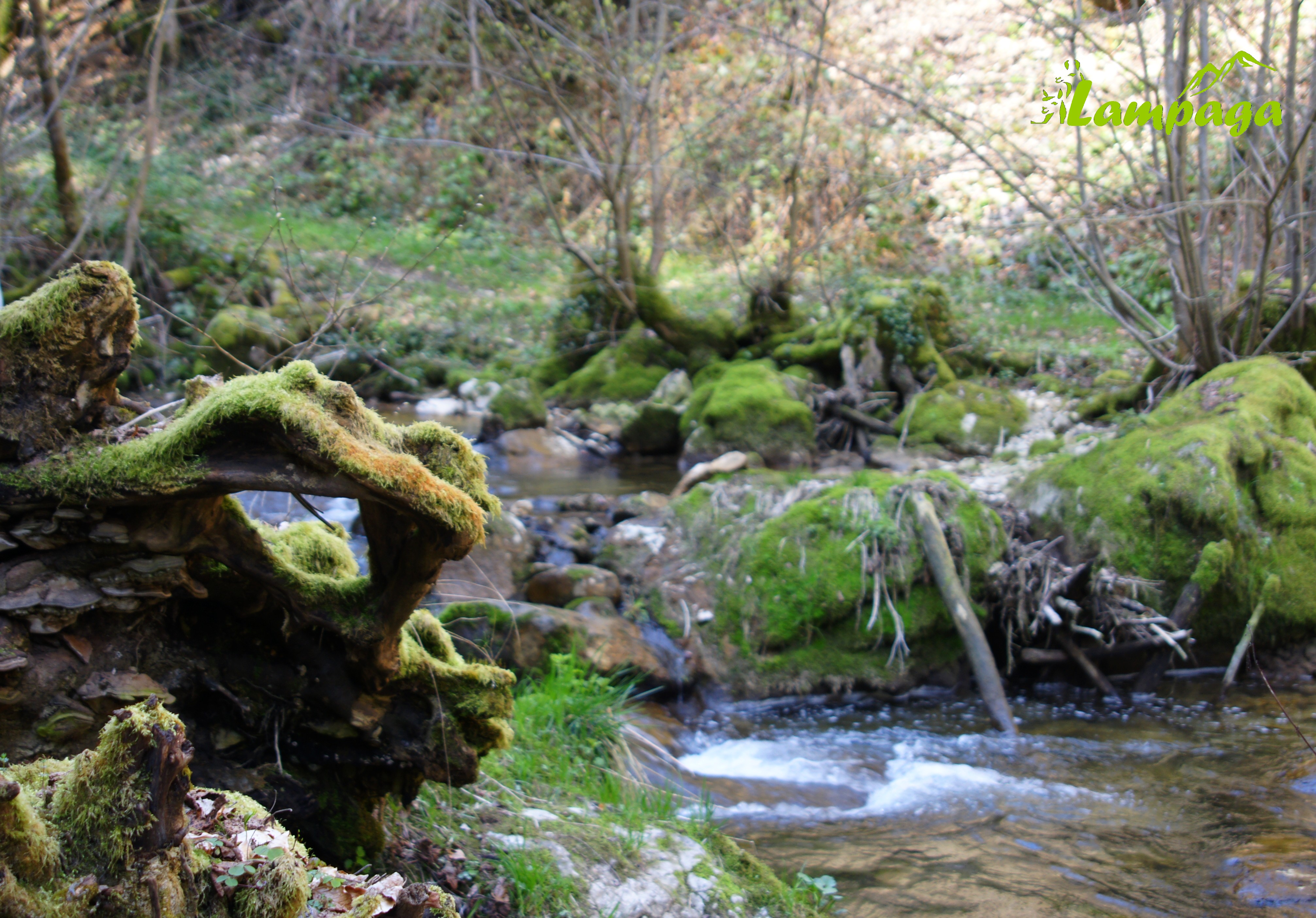 Se pauser au bord de l'eau