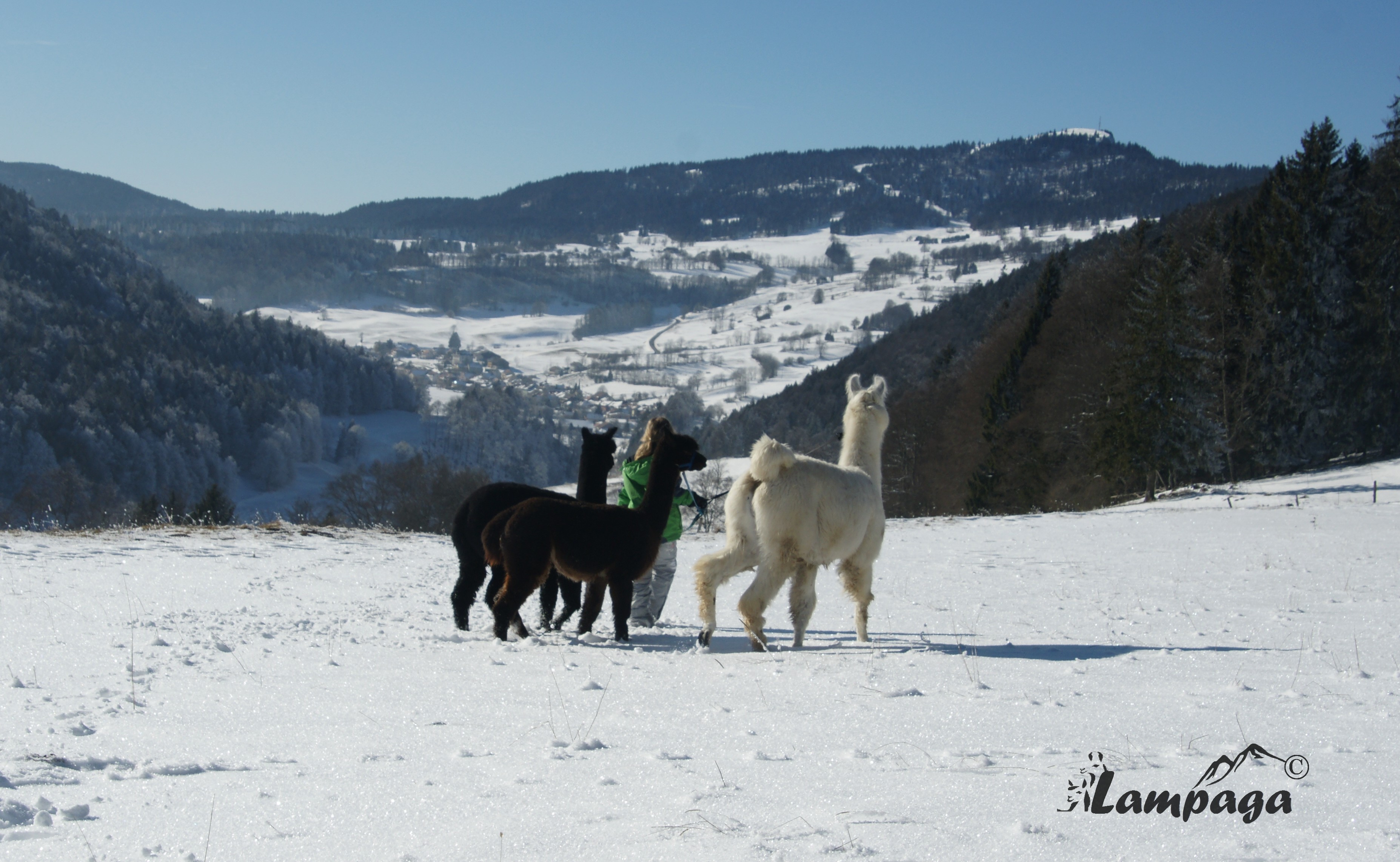 La Nature en toutes saisons