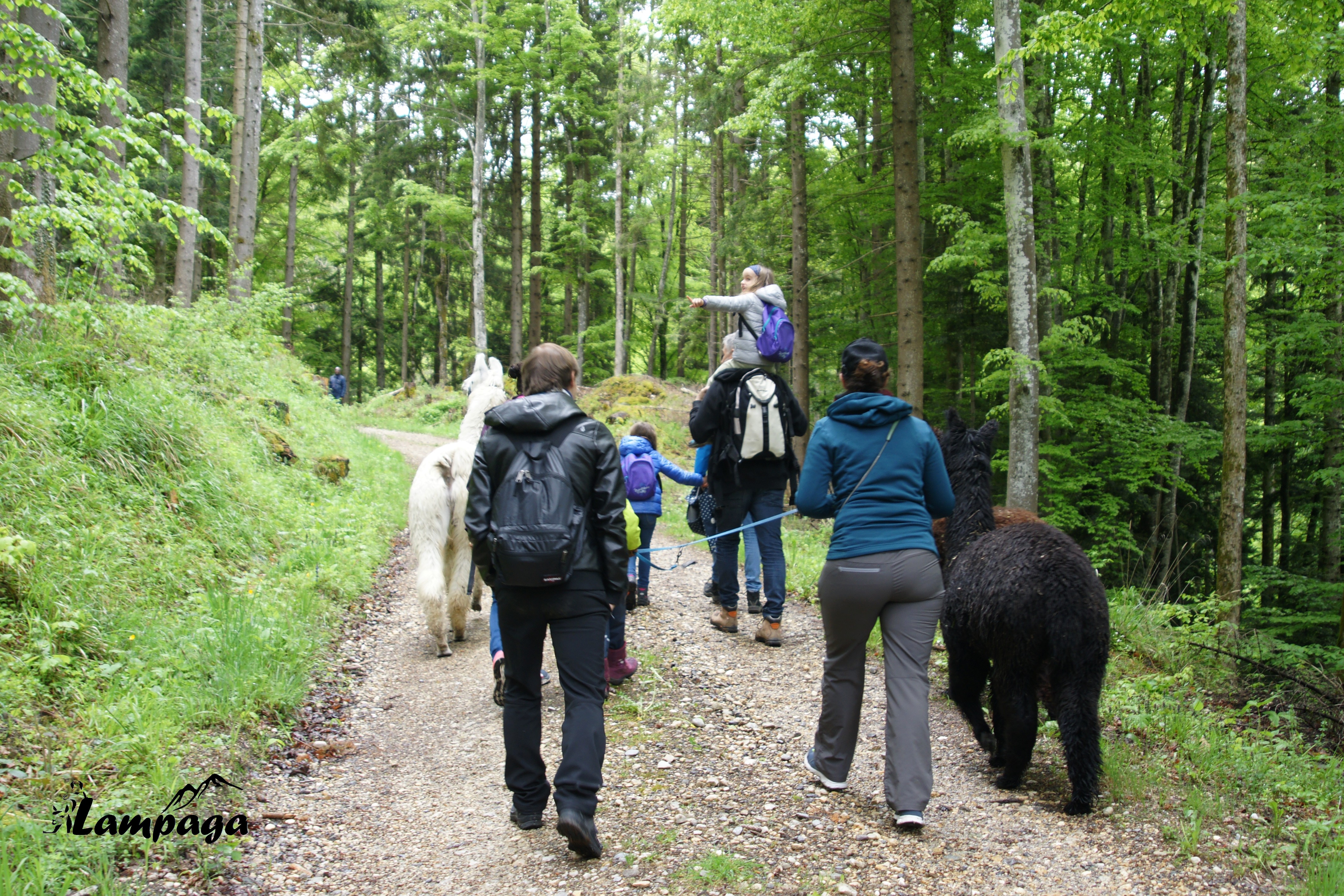 Fête de la Nature 2017