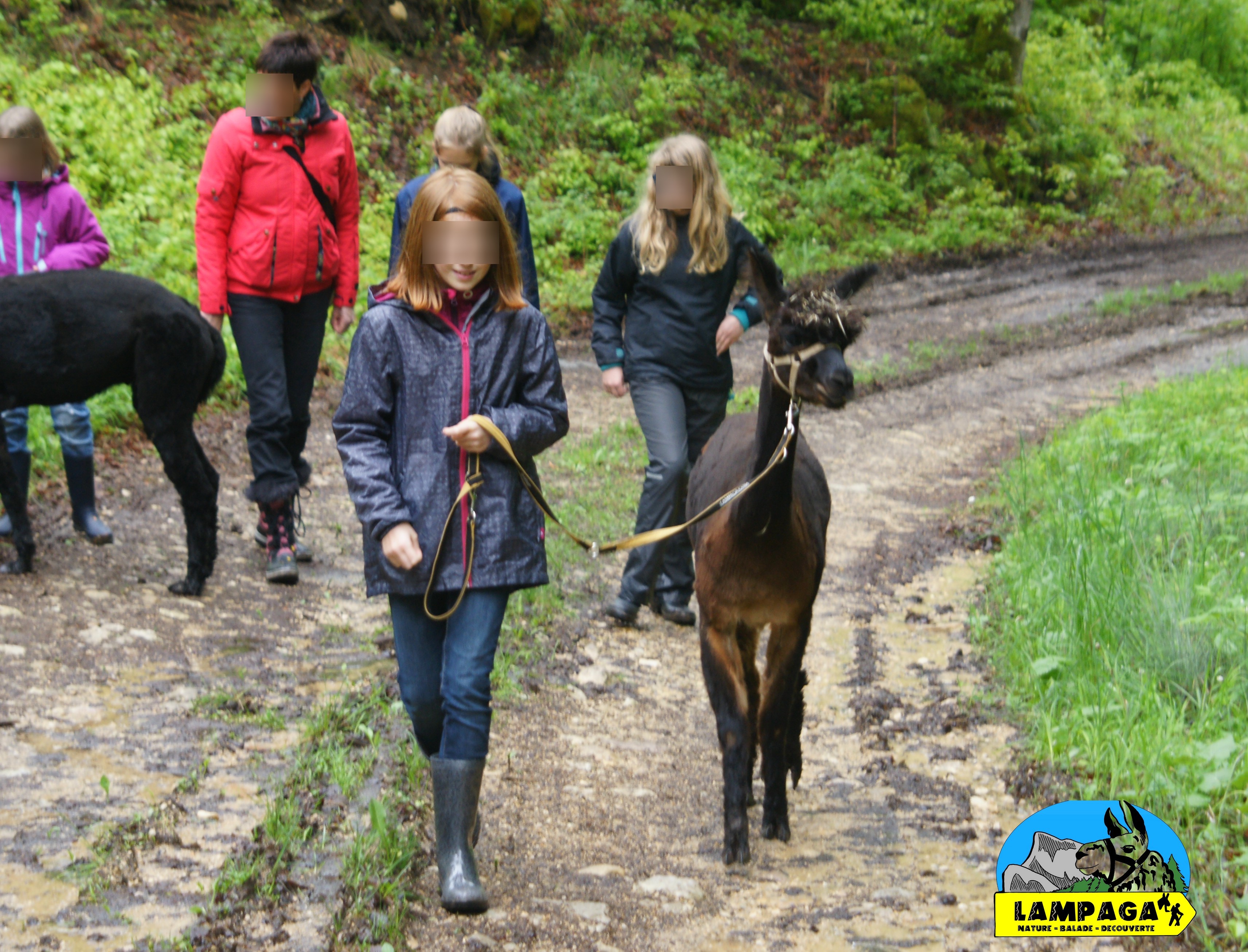 partir à l'aventures entres amis