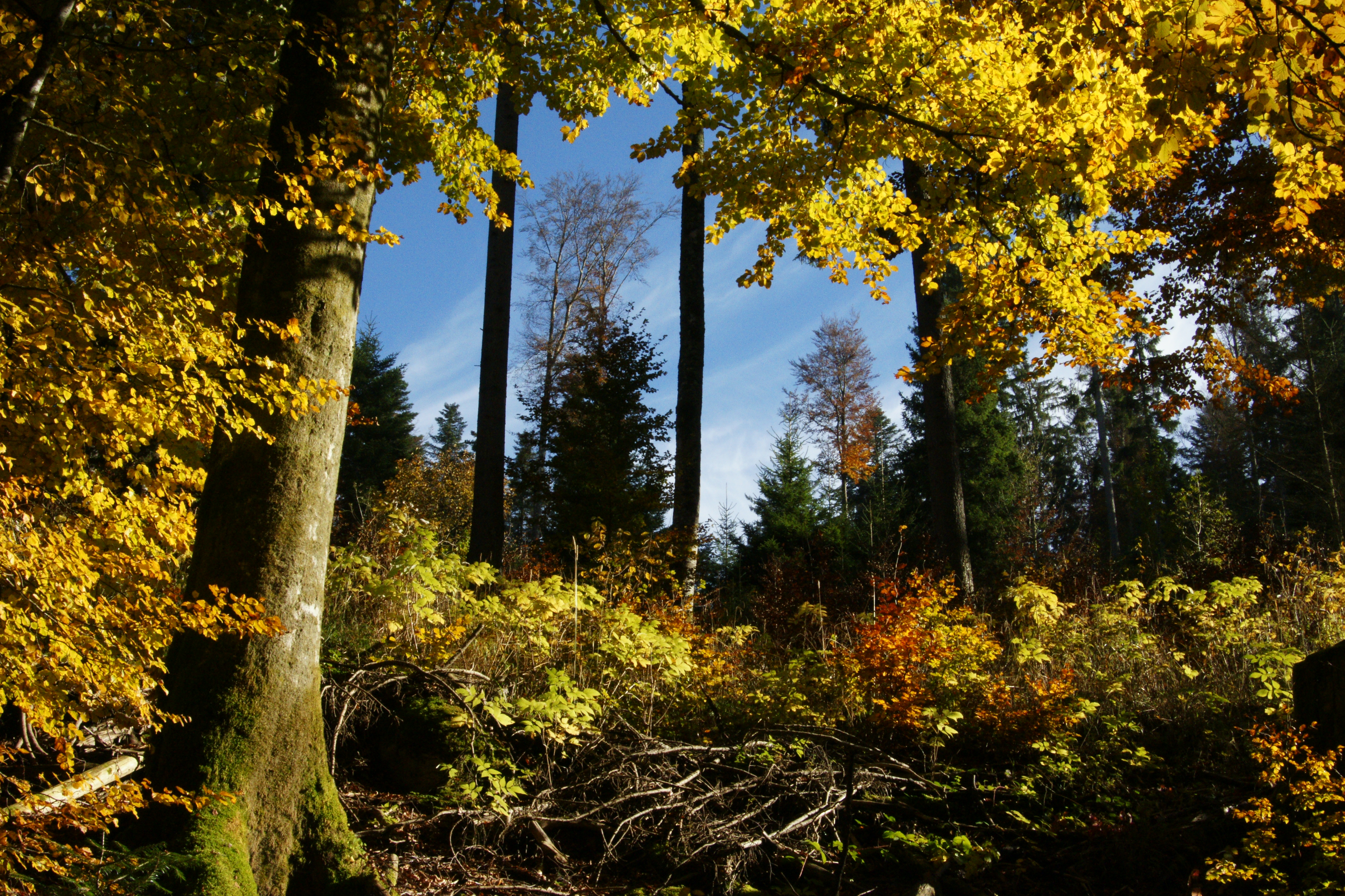 Vivre les saisons