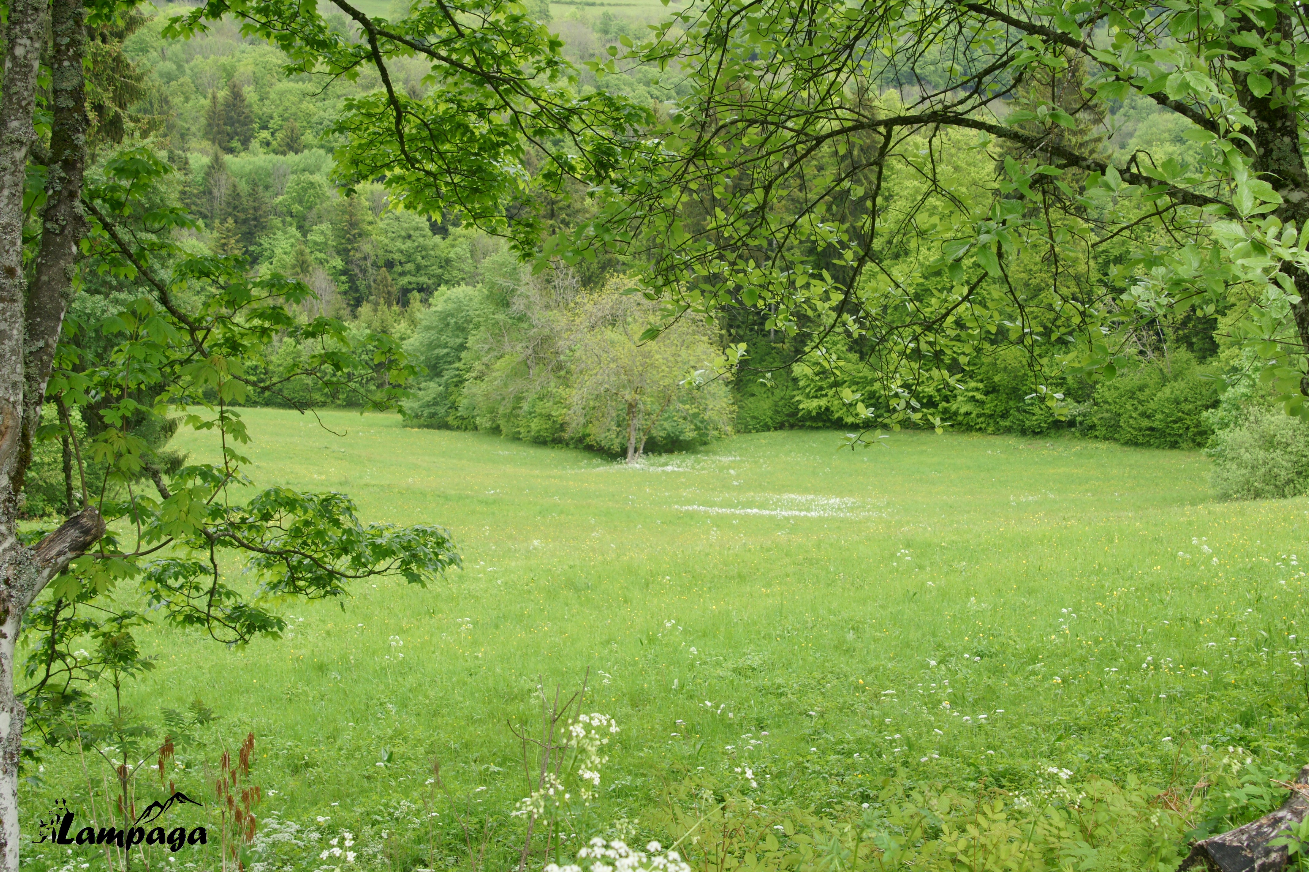 Fête de la Nature 2017