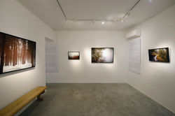 Sofia Podestà, Kairos