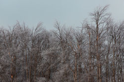 mia ceran, sofia podestà, fotografi contemporanei, fotografi contemporanei paesaggio, ghirri,