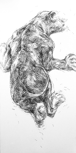 Cornelia Badelita, RvB Arts