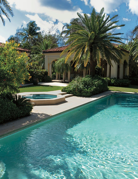 Palm Beach Local Market Insights 17.jpg