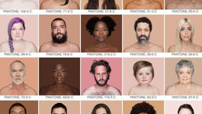 Les souches des familles ( sang en lecture des ancêtres jusqu’à nous ).